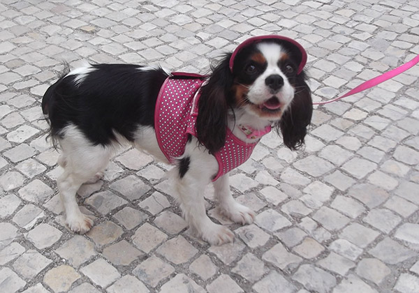 1348141419_dscf1461-1