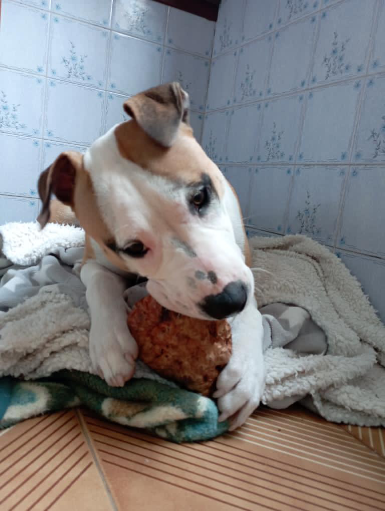 15E743AE-983A-45B7-9947-284E2EAB5533-670ee08fe0e87