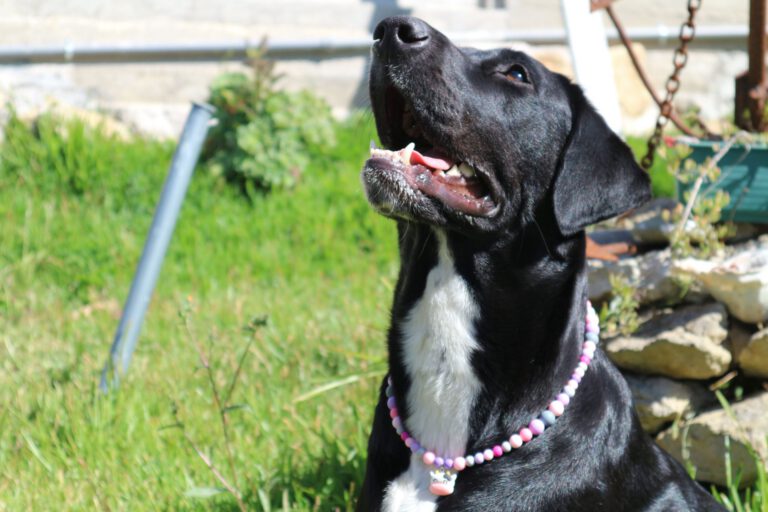 2_compressed-67f002320865d-scaled-1