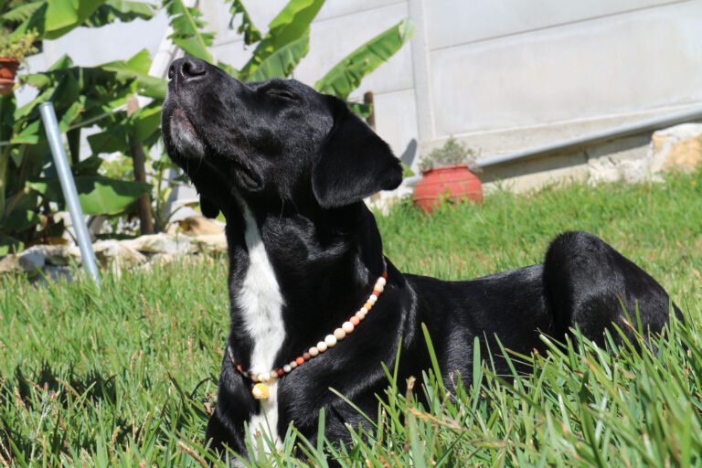 2_compressed-copia-67f0023791490-scaled-1