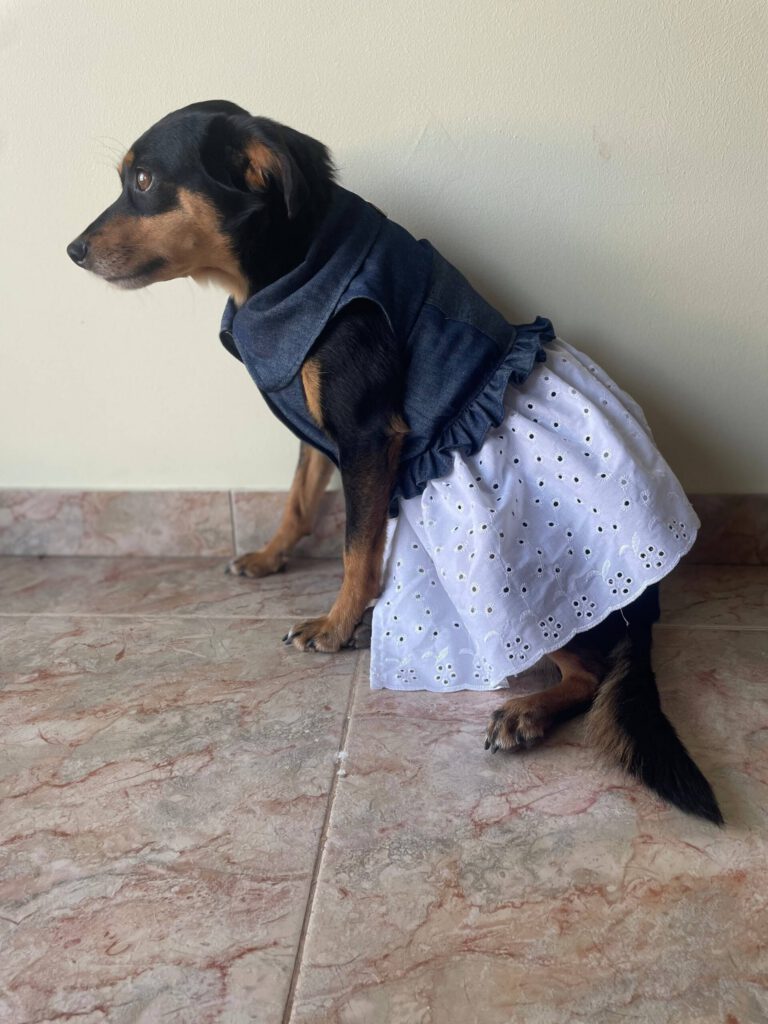 68512f9062307-scaled-1