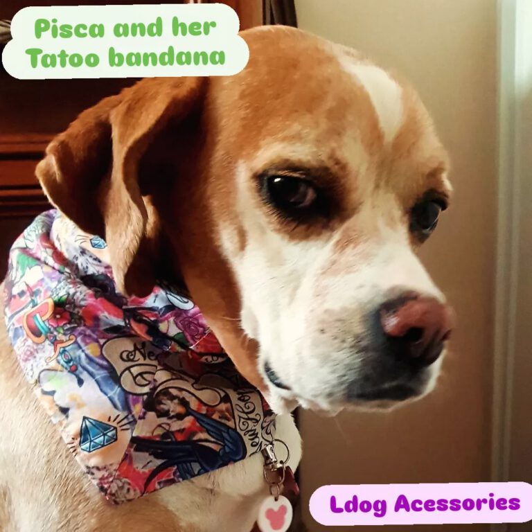 IMG_20240902_213158_084-66f2f52e0b27a