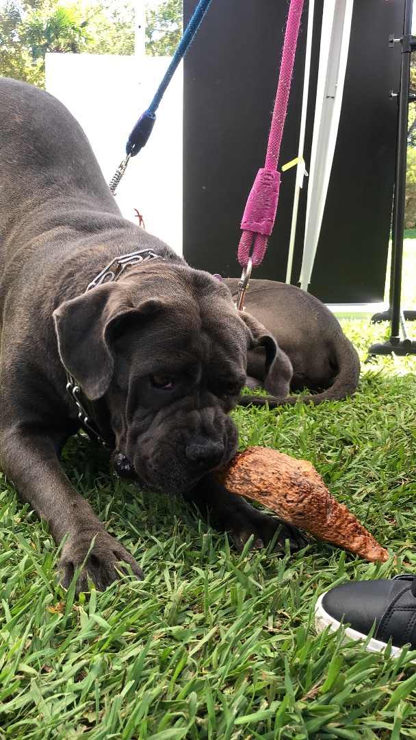 IMG_4283-670ee09cb0530