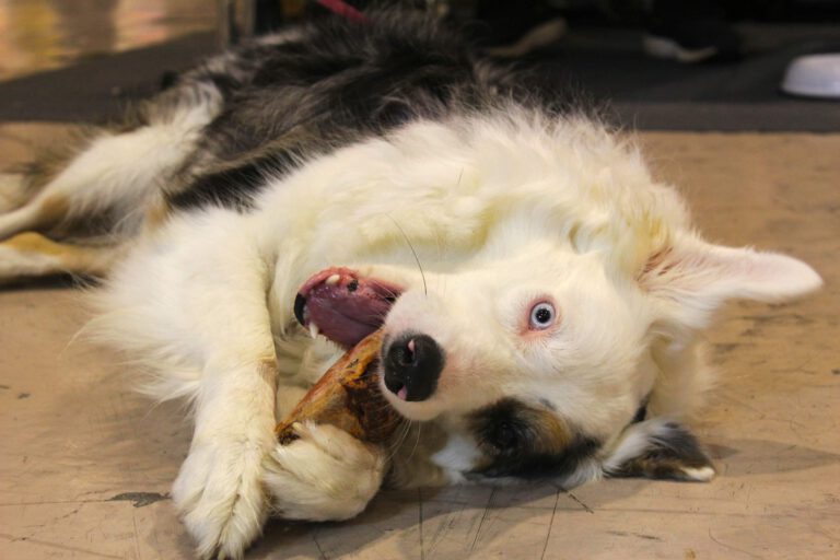 IMG_5881-670ee05cde86b