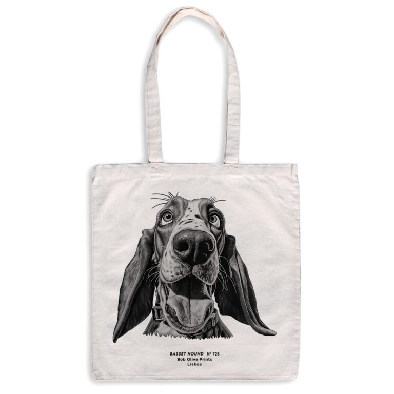 NOVOS_2023_BASSET-66fcf9a9dcf24