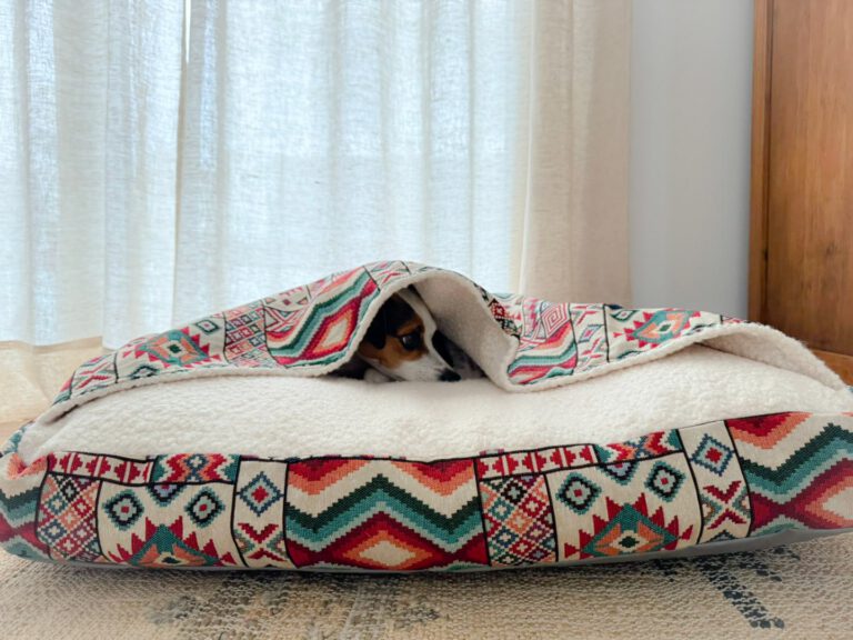 PSX_20231117_112627-66f6965833150