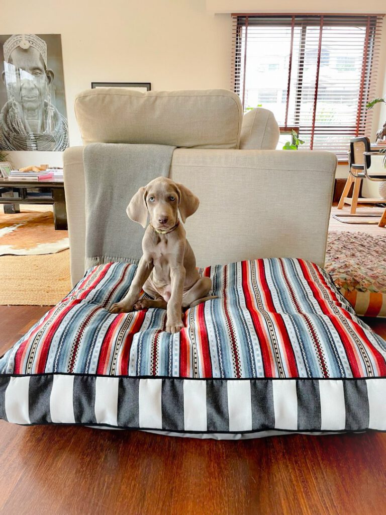 PSX_20240219_090432-66f6965812340