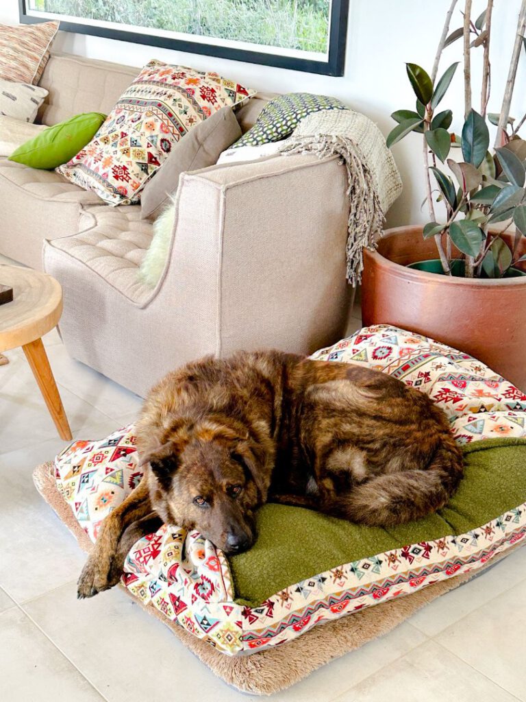 PSX_20240219_090559-66f6965702f6f