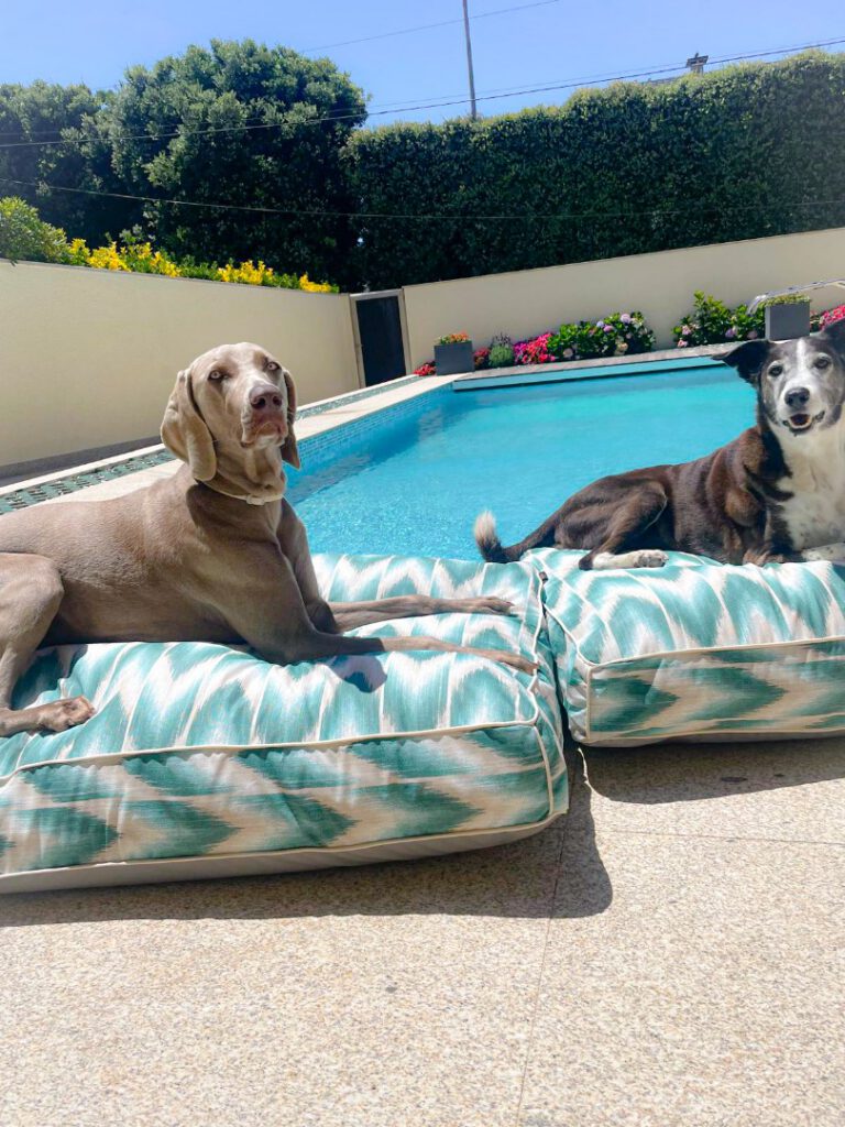 PSX_20240701_204232-66f696587767e