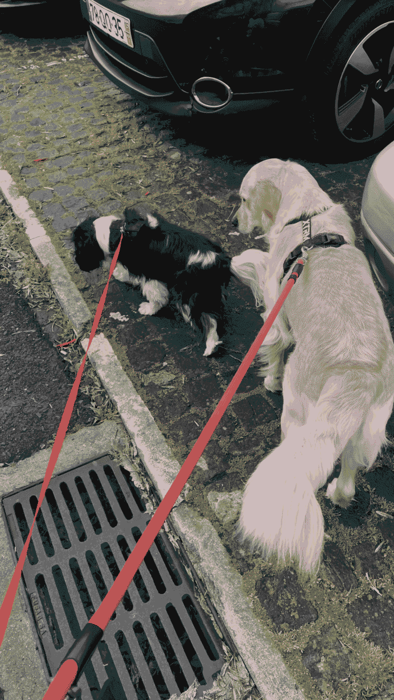 download-3-1-1-1-1-1-1-1-680828c93a451