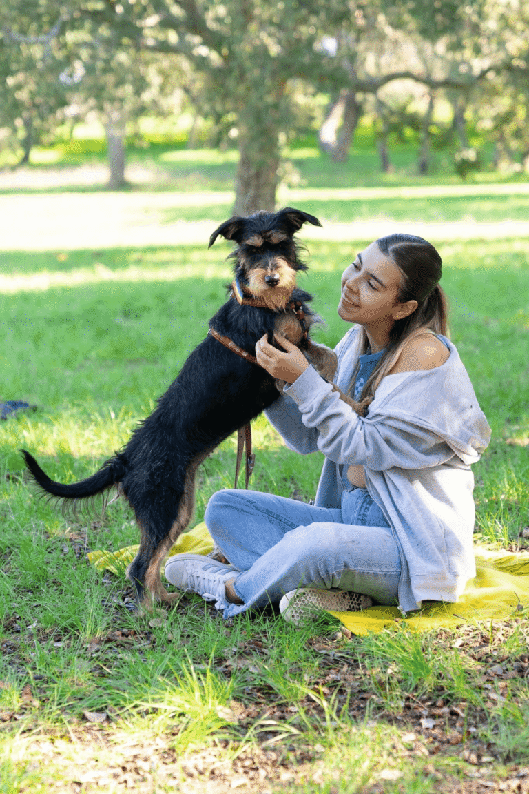 download-4-6808256f69edd