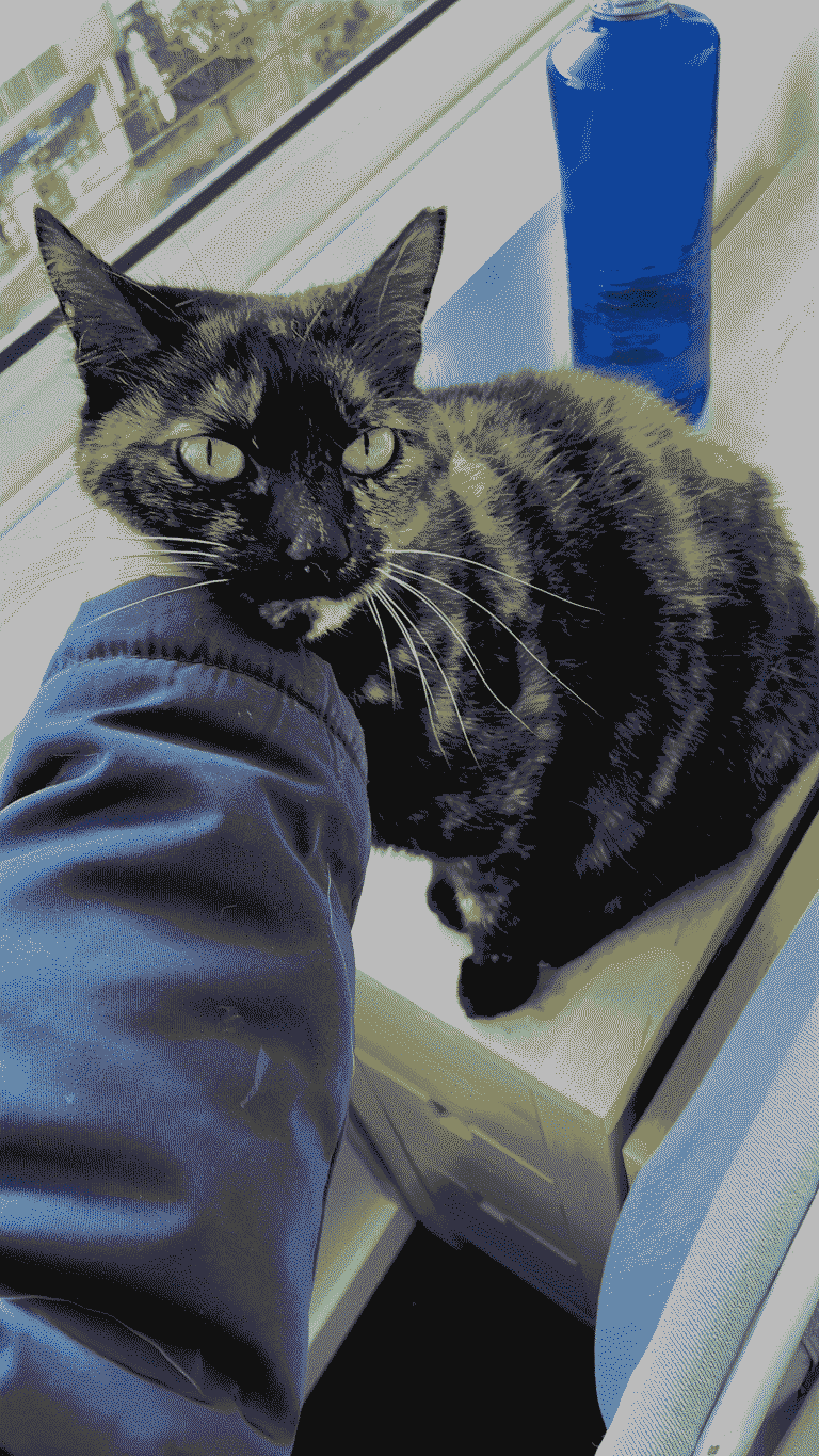 download-6-1-1-1-1-1-1-1-1-680827a089a7d