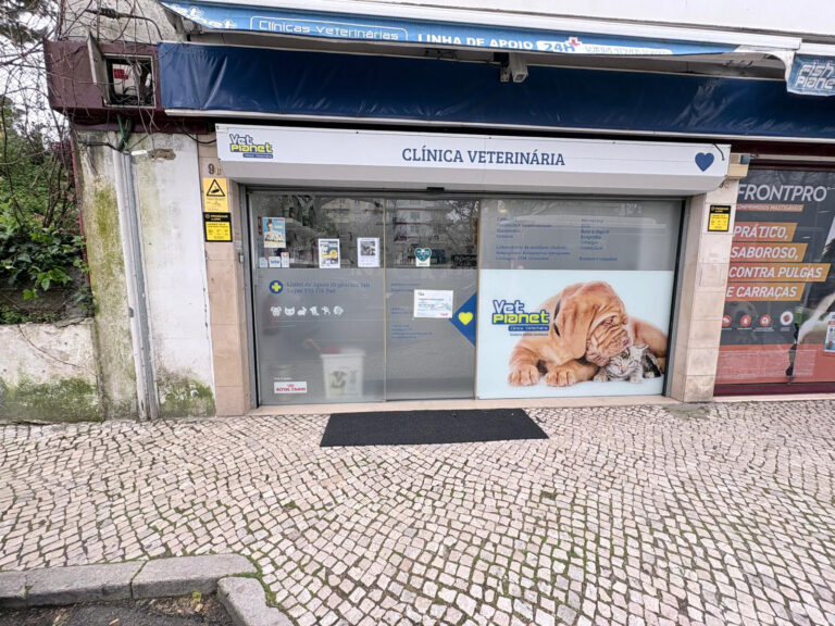 clinica-benfica-1